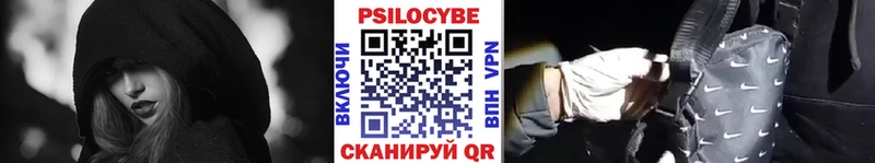 блэк спрут как войти  дарк нет клад  Галлюциногенные грибы Psilocybe  Лысково 